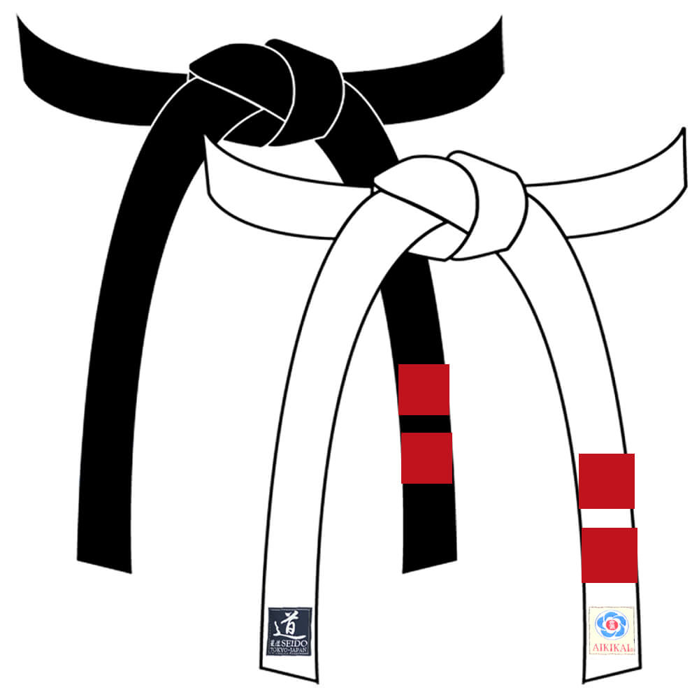 aikido belt system
